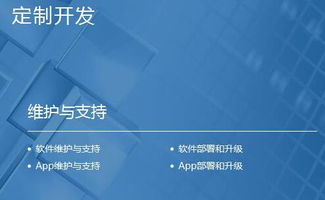 .北京的軟件開發(fā)公司有哪些 軟件開發(fā)流程的8個步驟